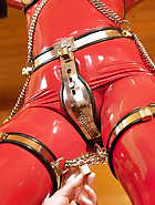 Complete chastity steel harness